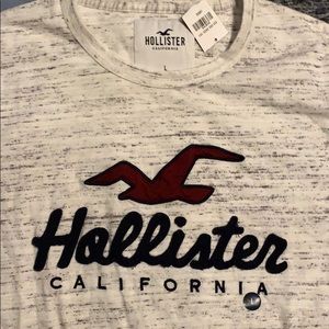 hollister